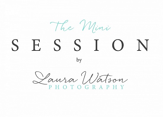 Houston Mini Session